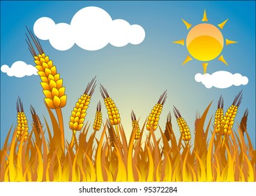 wheat on  blue sky background eps10