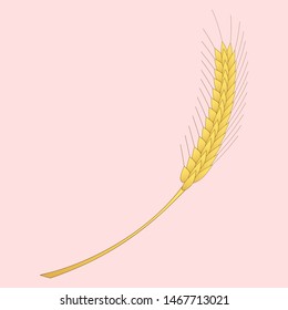 Wheat on a delicate background vector image.