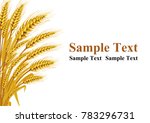 Wheat on the white background in the left hand corner has space for text input. Vector illustrations