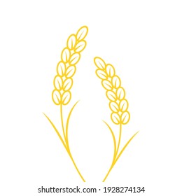 Trigo de fondo blanco. Símbolo de arroz. Símbolo de avena vector. fondo de pantalla.