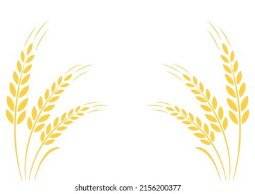 Wheat on white background. Wheat vector. wallpaper. free space for text. copy space. Wheat frame.