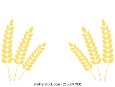 Wheat on white background. Wheat vector. wallpaper. free space for text. copy space. Wheat frame.