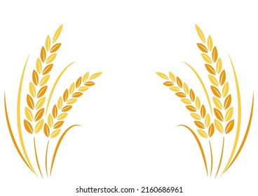 Wheat on white background. Wheat vector. wallpaper. free space for text. copy space. Wheat frame.