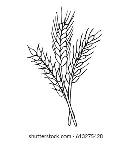 Wheat on white background vector illustration. Cloth design, wallpaper, wrapping, textiles, paper, cards, invitations, holiday