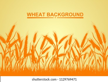 Wheat on the yellow background in the left hand corner has space for text input. Vector illustrations
