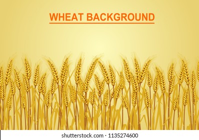 Wheat on the yellow background in the left hand corner has space for text input. Vector illustrations