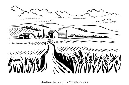 Vector de paisaje de cultivo orgánico de trigo. Granja y campos con cosecha