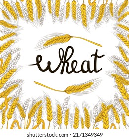 Wheat organic harvest in hand drawn style with lettering for bakery shop or flour packaging design on white background