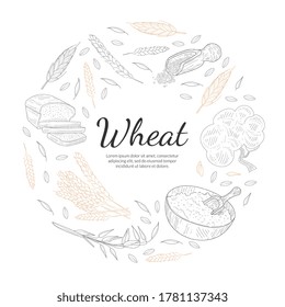 Wheat Organic Product Banner Template, Agricultural Plants and Baked Products of Round Shape, Bakeshop, Cafe, Packaging, Menu Design Hand Drawn Vector Illustration