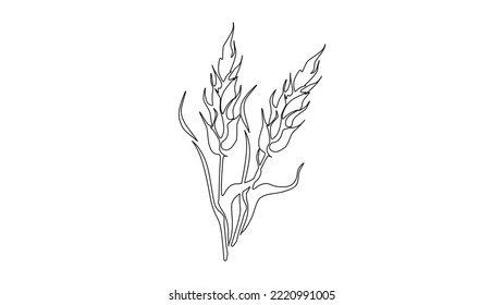 Wheat Outline Icon vector in trendy design style. Gluten Free Symbol Illustration, isolated on white background. Suitable for many purposes.