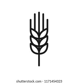 Wheat outline style. Simple design. Isolate on white background. Line vector.