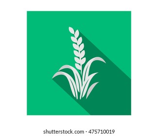 wheat paddy harvest agriculture farmer image vector logo symbol icon