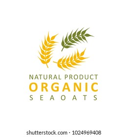 wheat paddy logo
