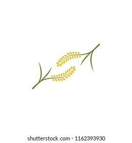 wheat paddy logo