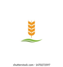 wheat paddy logo design inspiration