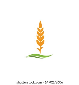 wheat paddy logo design inspiration