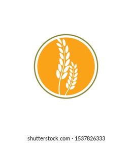 wheat paddy logo design inspiration
