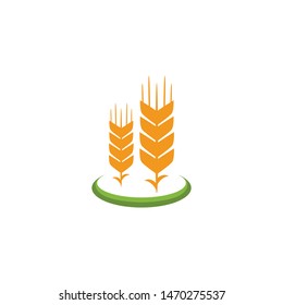 wheat paddy logo,background vector illustration,