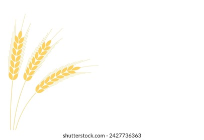 Wheat pattern wallpaper. oat symbol. free space for text. copy space. Wheat or Rice frame.