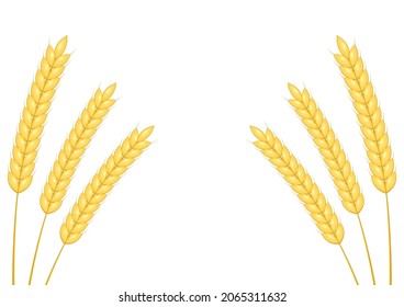 Wheat pattern wallpaper. Wheat symbol. free space for text. rice sign. Rice pattern wallpaper. Frame.