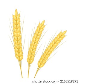 Papel pintado de patrón de trigo. Símbolo de trigo. espacio libre para texto. signo de arroz. Papel pintado de patrón de arroz.
