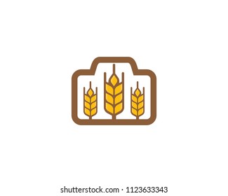 Wheat Photography Icon Logo Design Element