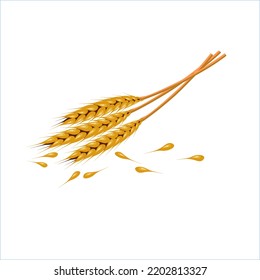 Wheat picking without background vector illustration design