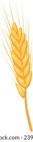 Wheat Plant Ear Vector Illustration