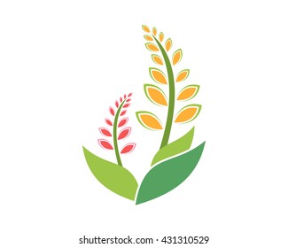 wheat plant floral image vector icon