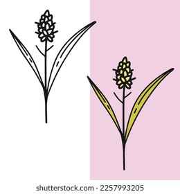 Wheat plant icon, editable vector file for all your graphic needs.