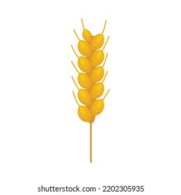 Wheat plant icon. Flat illustration of wheat plant vector icon isolated on white background