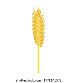 Wheat plant icon. Isometric of wheat plant vector icon for web design isolated on white background