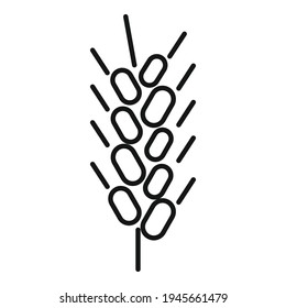 Wheat plant icon. Outline wheat plant vector icon for web design isolated on white background
