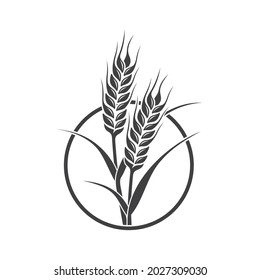 wheat plant illustration, wheat icon, vector art.