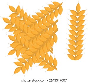 Wheat plant, illustration, vector on a white background.