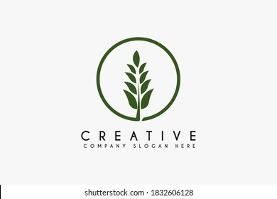 Wheat plant leaf logo design vector illustration. Wheat plant logo isolated on white background