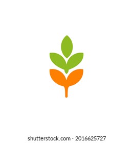 Wheat plant logo design vector template