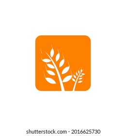 Plantilla vectorial de diseño del logotipo de la planta de trigo