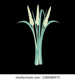 wheat plant with seeds vector illustration