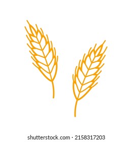 Wheat plant spikelets. Hand drawn sketch icon of oat, rye, barley. Isolated vector illustration in doodle line style.