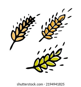 Wheat plant spikelets isolated on white background. Wheat Ear Spica Icon Set.