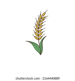 a wheat plant vector design illustration