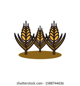 wheat plant vector illustration, line art design