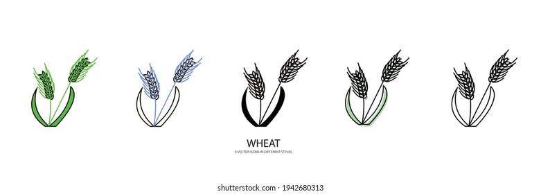 wheat plant vector type icon
