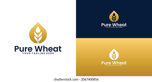 wheat plant and water drop logo design with business card inspiration