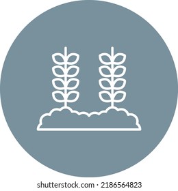 Wheat Plantation line circle icon vector image. Can also be used for web apps, mobile apps and print media.