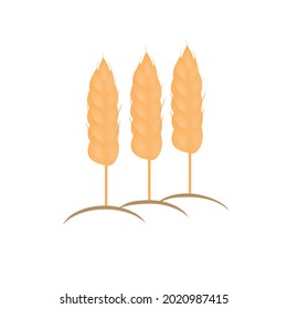 Icono de plantas de trigo sobre fondo blanco