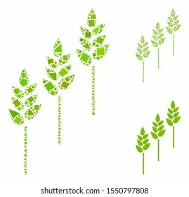Wheat plants mosaic of trembly pieces in different sizes and color tinges, based on wheat plants icon. Vector abrupt pieces are united into mosaic. Wheat plants icons collage with dotted pattern.