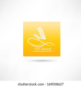 wheat premium icon