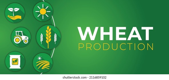 Wheat Production Illustration Background Design